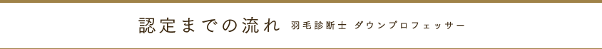 認定までの流れ 羽毛診断士 ダウンプロフェッサー