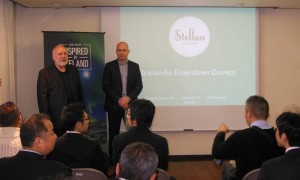 ブログ　アイダー③