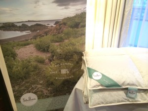 ブログ　アイダー⑤